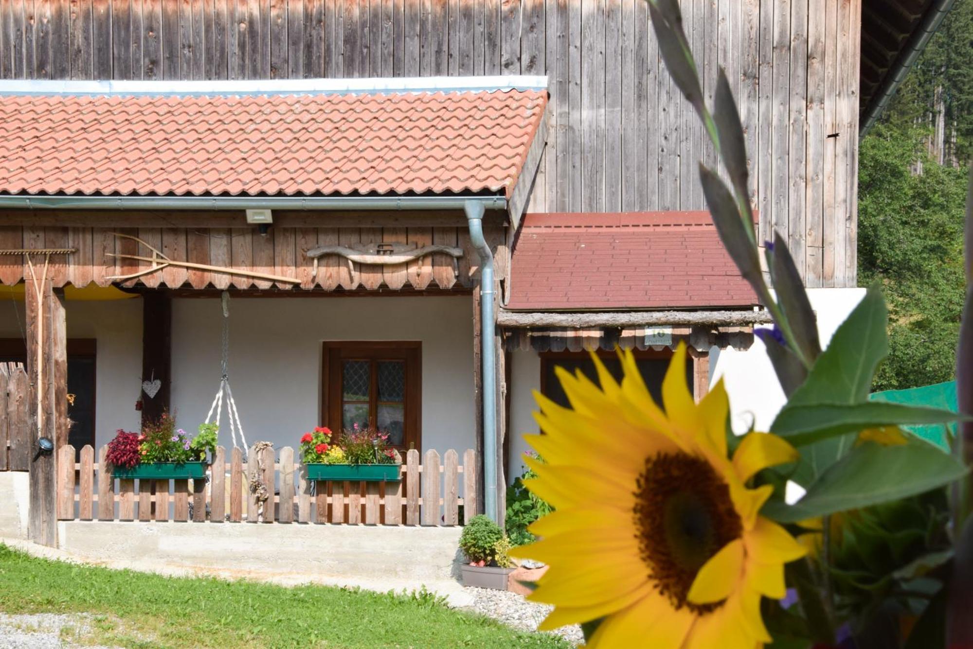 Romantiksuite Bei Seitberger Frauenberg Εξωτερικό φωτογραφία